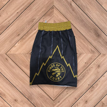 Load image into Gallery viewer, &quot;We The North&quot; Raptors Mesh Shorts - Black
